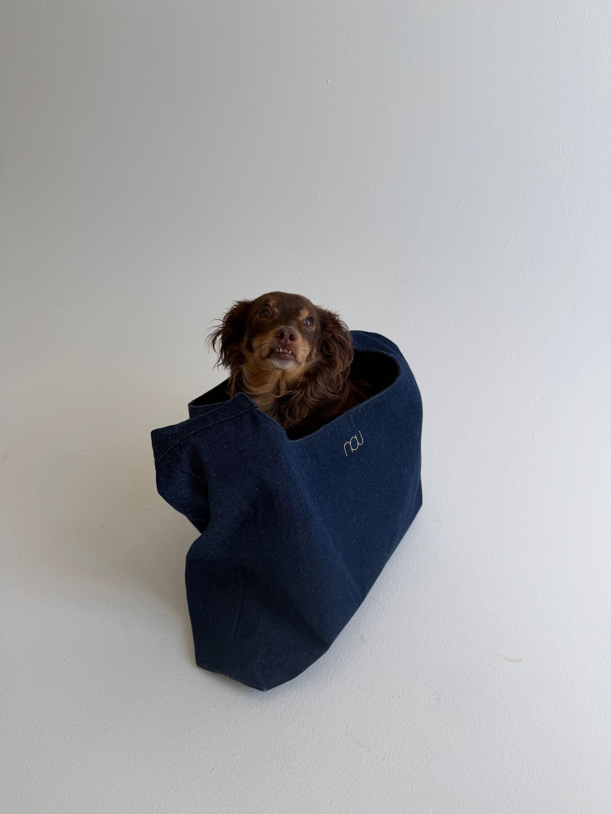 THE BIG BAG