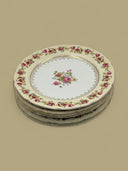 Dinner Plate Set